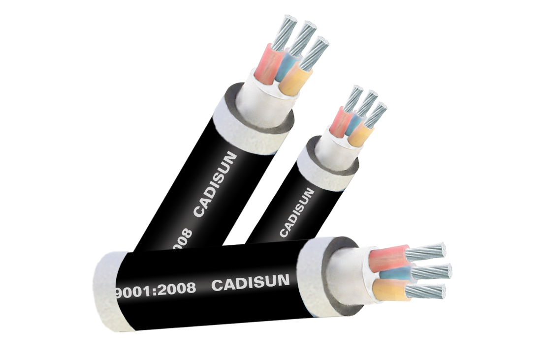 Cáp nhôm 3 ruột, cách điện XLPE, vỏ bọc PVC AXV3x