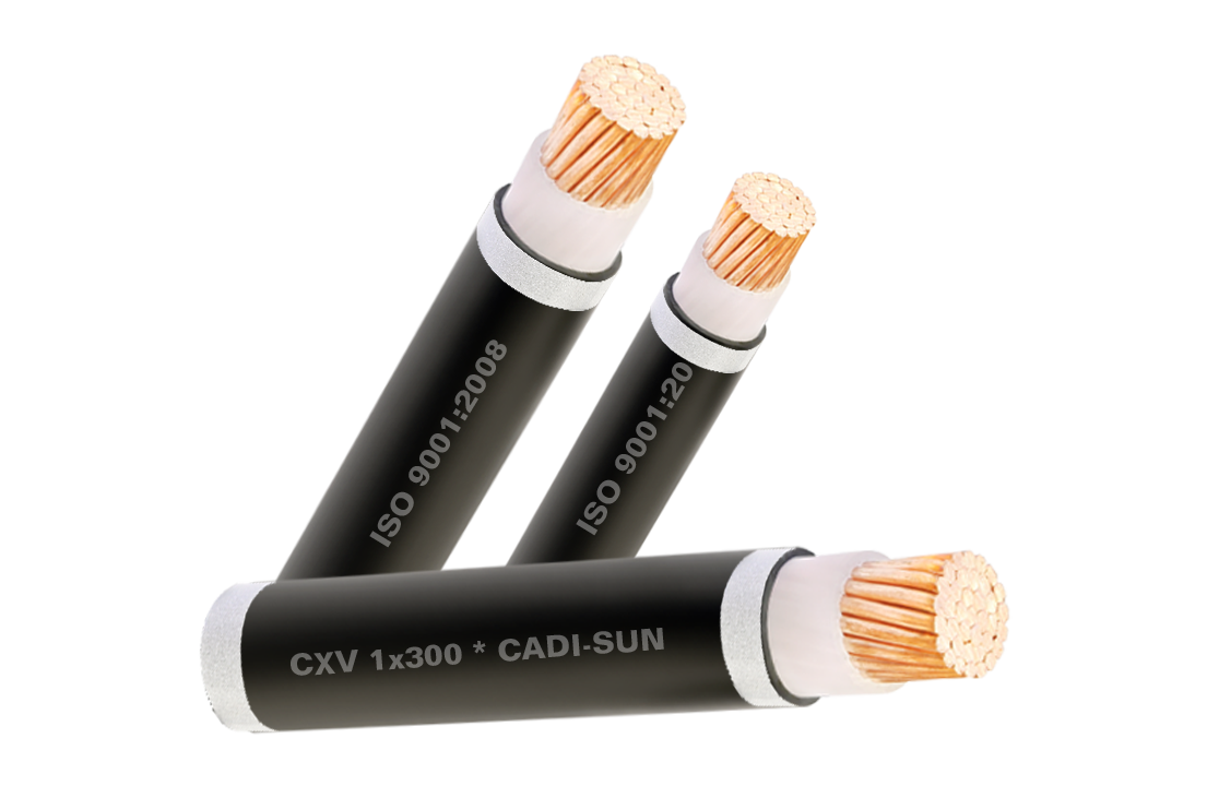 Cap dong don boc cach dien XLPE, vo boc PVC CXV1x