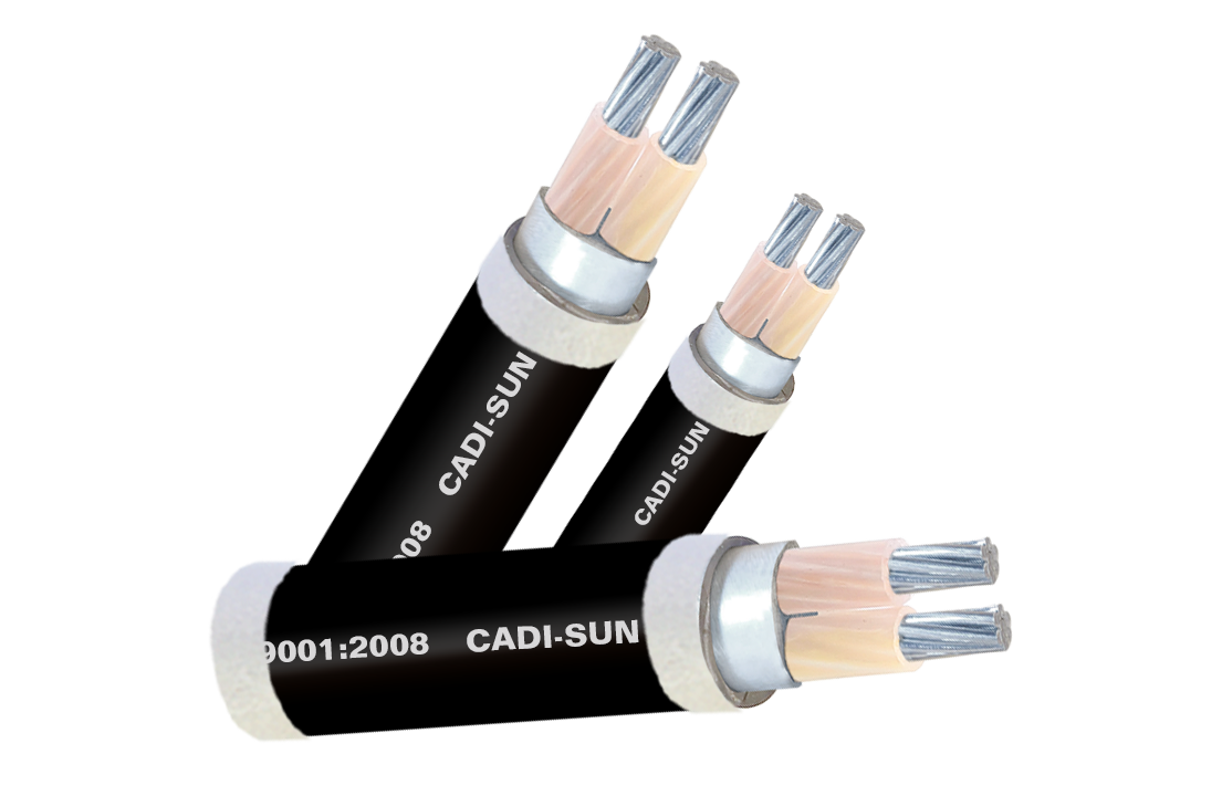 Cáp nhôm 2 ruột, cách điện XLPE, vỏ bọc PVC AXV2x