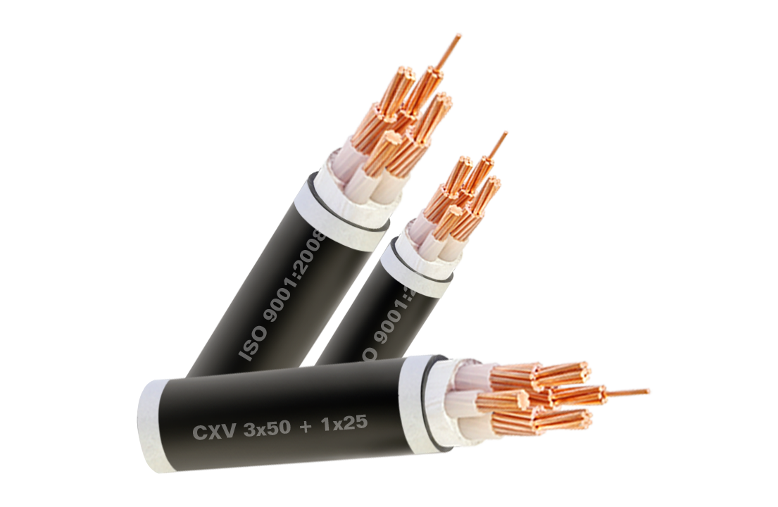 Cap dong 4 ruot, boc cach dien XLPE, vo boc PVC CXV 3x+1