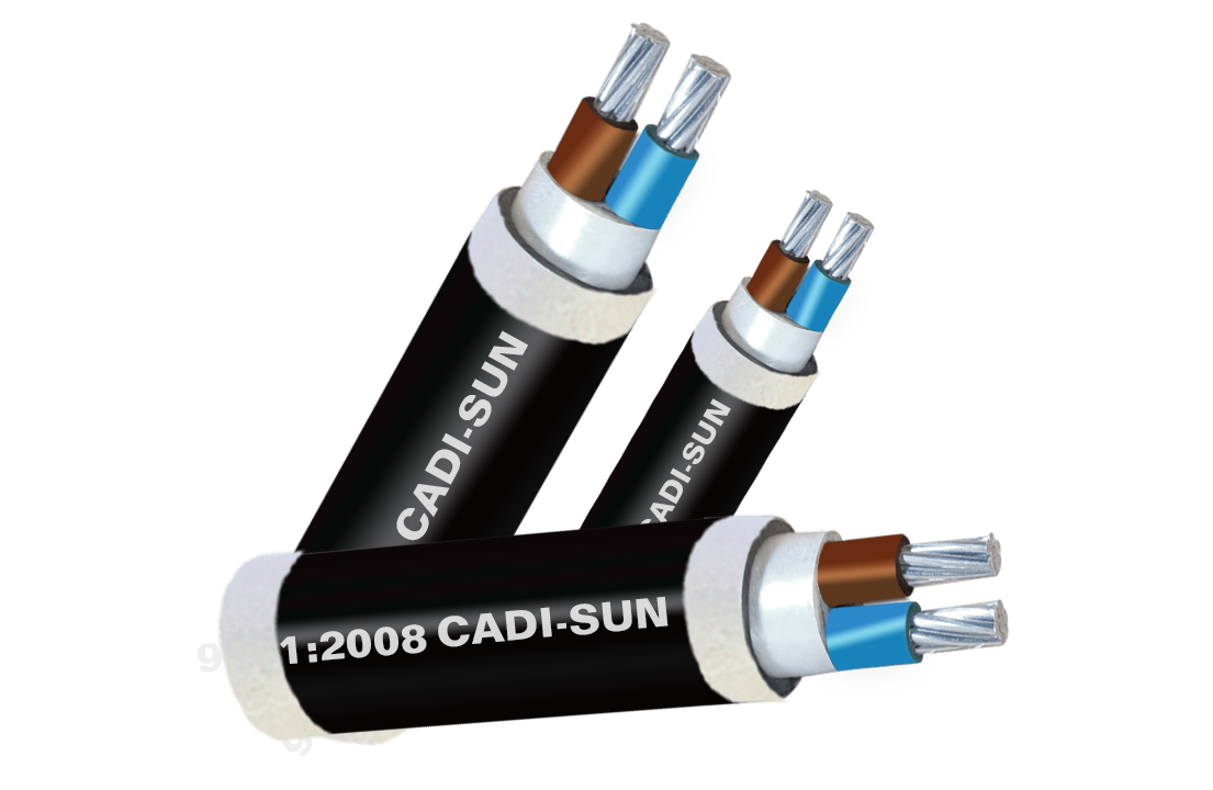 Cáp nhôm 2 ruột, cách điện PVC, vỏ bọc PVC AVV2x