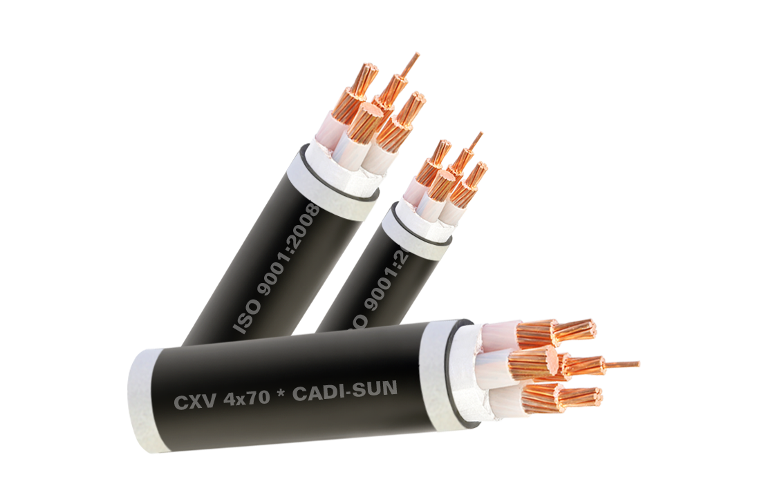 Cap dong 4 ruot, boc cach dien XLPE, vo boc PVC CXV 4x