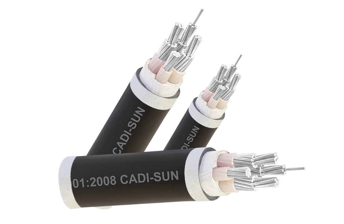 Cáp nhôm 4 ruột, XLPE, vỏ bọc PVC AXV 3x+1