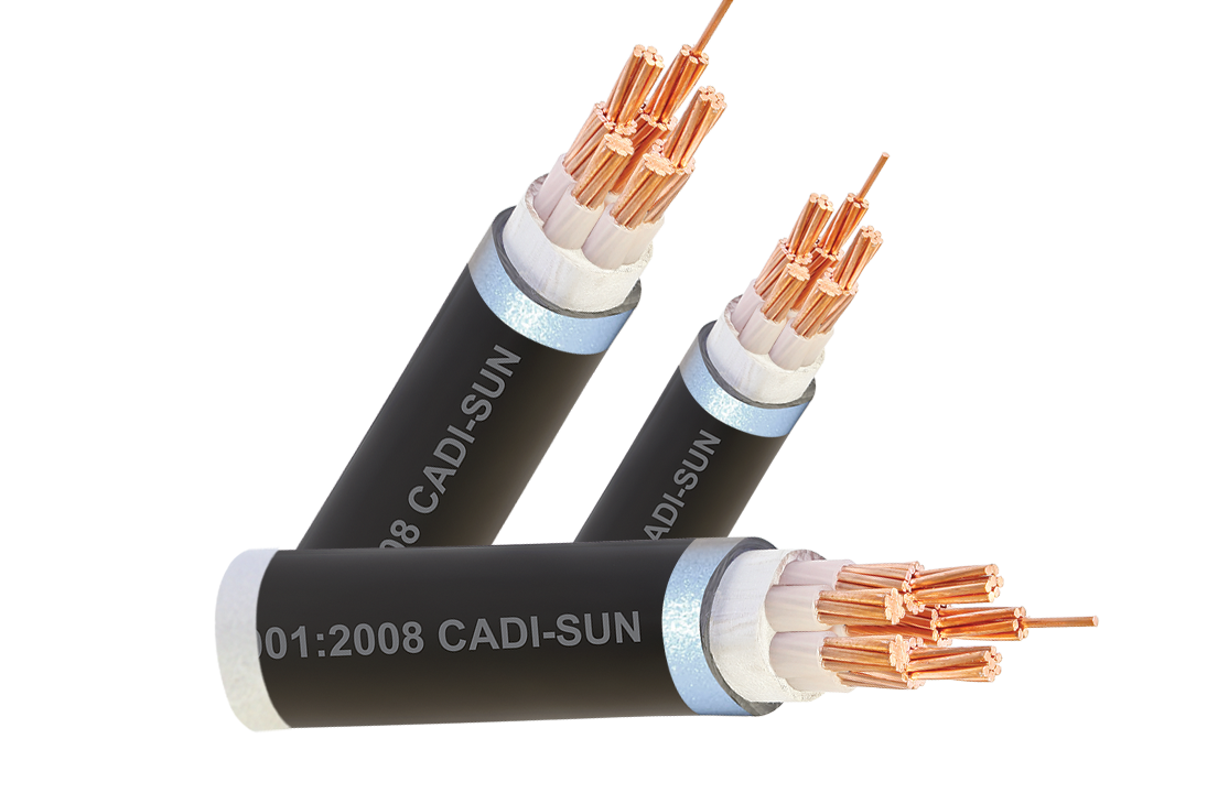 Cap dong 5 ruot, boc cach dien XLPE, vo boc PVC CXV 3x+2